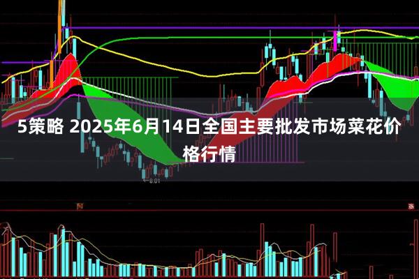 5策略 2025年6月14日全国主要批发市场菜花价格行情