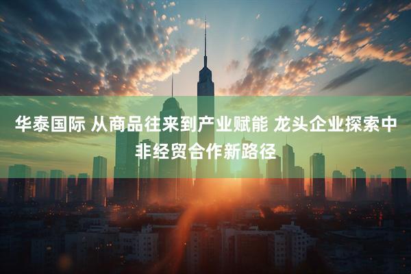 华泰国际 从商品往来到产业赋能 龙头企业探索中非经贸合作新路径