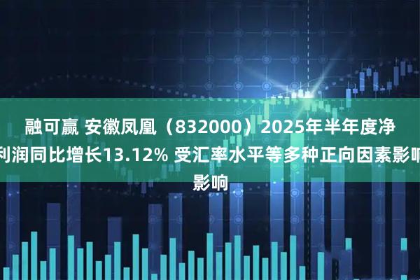融可赢 安徽凤凰（832000）2025年半年度净利润同比增长13.12% 受汇率水平等多种正向因素影响