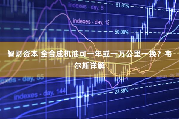 智财资本 全合成机油可一年或一万公里一换？韦尔斯详解